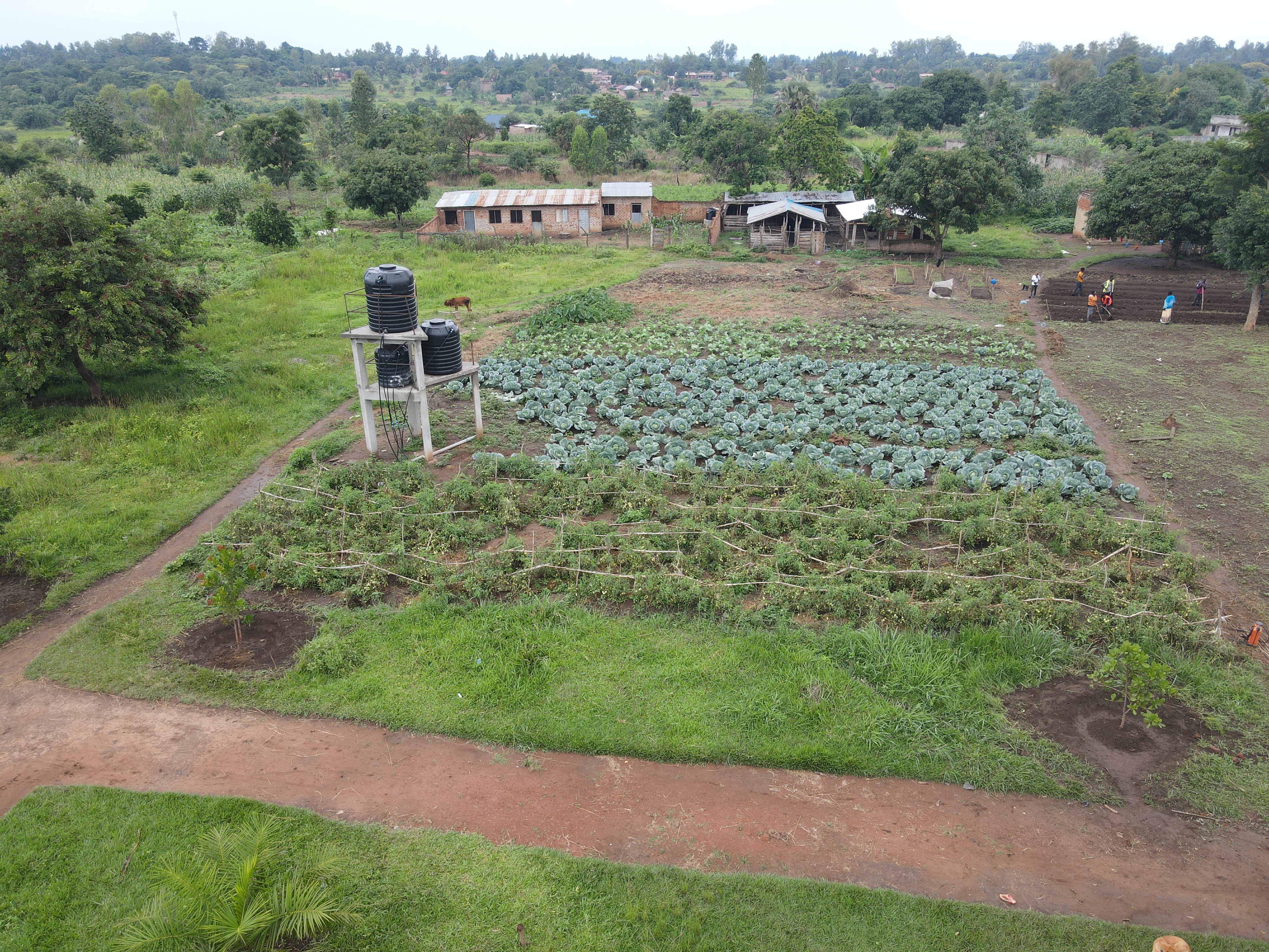 Farm water management irrigation channels